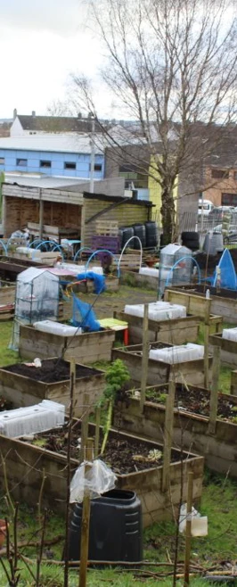 Fare Allotment Plots Fare Allotment Plots